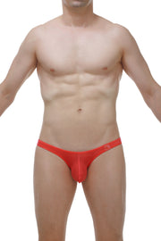 Bikini Dome Plum Crimson