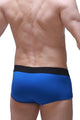 Boxer Morrier Blue