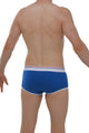 Boxer Morrier Blue