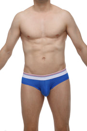 Mini Boxer Plum Blue